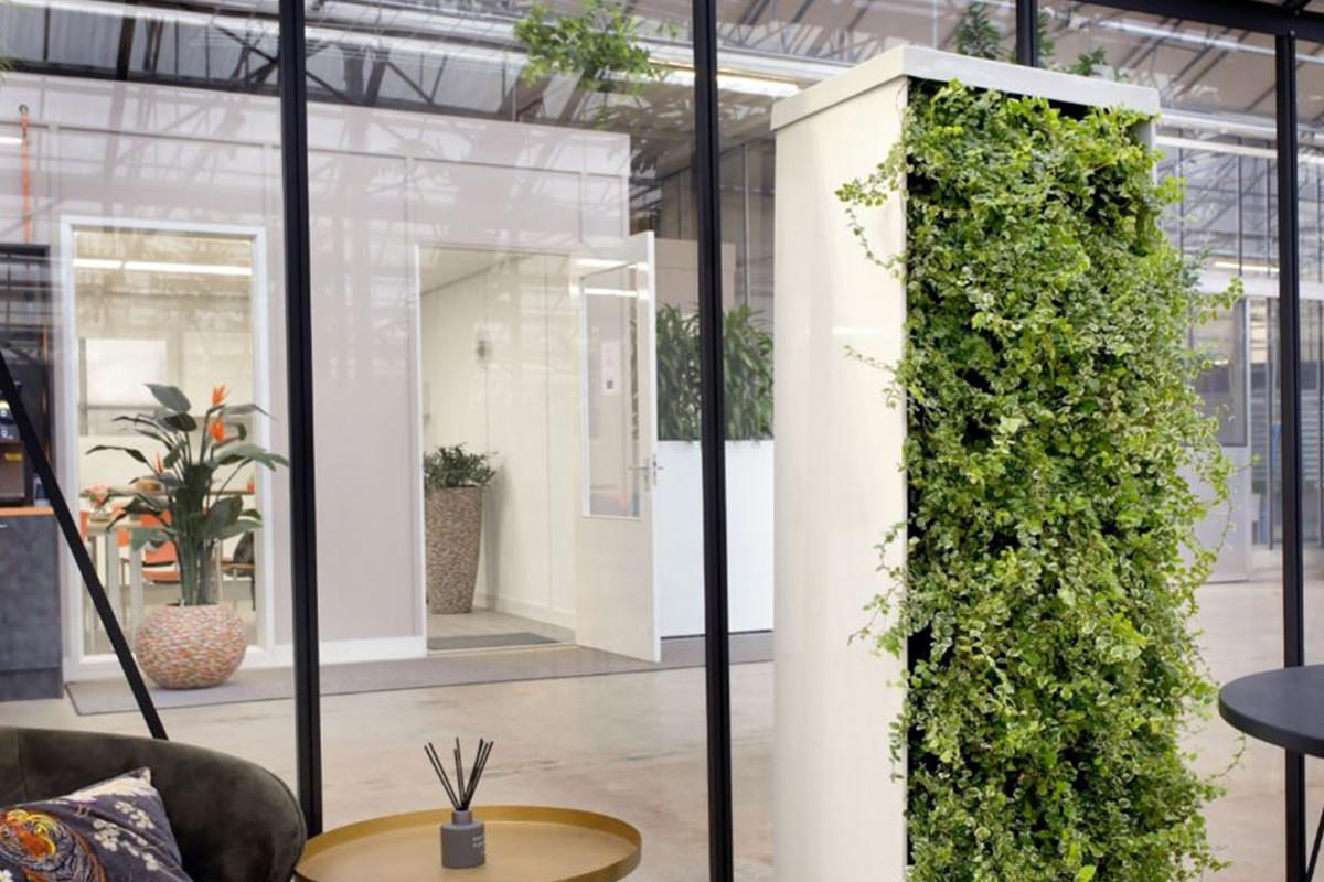interieurbeplanting_room dividers_1200px_1-1