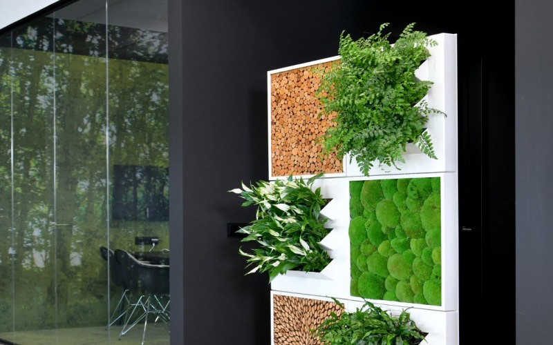 interieurbeplanting_room dividers_800px_3-1